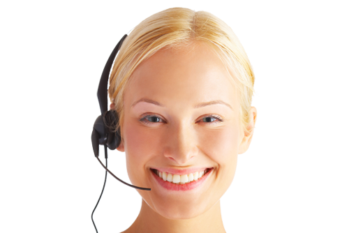 Mega Business Systems, (ALT Text1), contact us