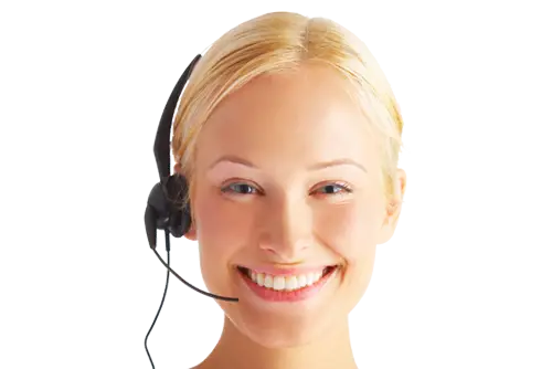 Mega Business Systems, (ALT Text1), contact us